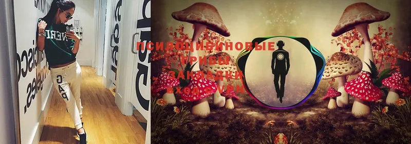 гидра ссылки  Новотроицк  Галлюциногенные грибы Magic Shrooms 